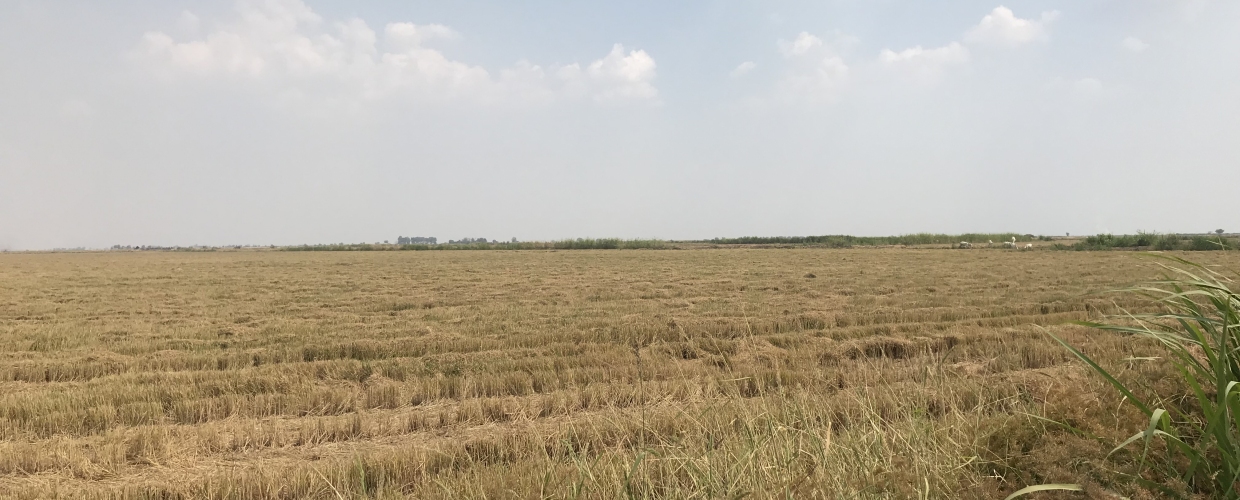 会社概要(特定商取引法に基づく表記)-株式会社ナナミスター